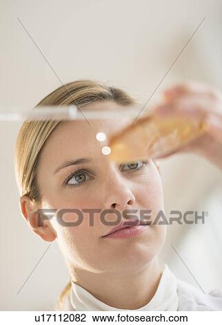 Close-up of scientist using pipette and petri dish View Large Photo Image Stock Image - Close-up of scientist using pipette and petri dish. Fotosearch