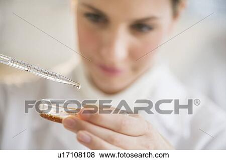 Stock Photo - Close-up of scientist using pipette and petri dish. Fotosearch