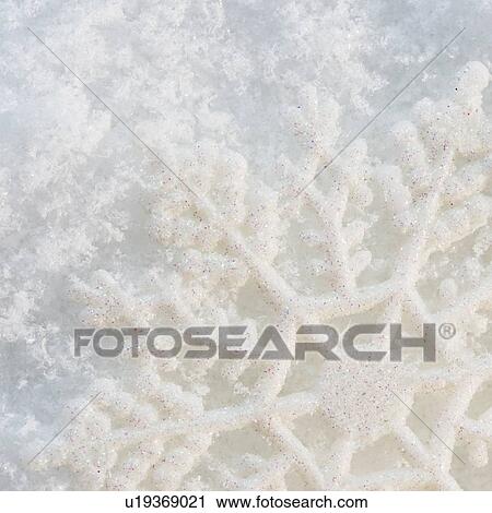 Close-up view of snowflake View Large Photo Image Stock Image - Close-up view of snowflake. Fotosearch