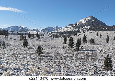 Eastern Sierra scene View Large Photo Image Stock Image - Eastern Sierra scene . Fotosearch