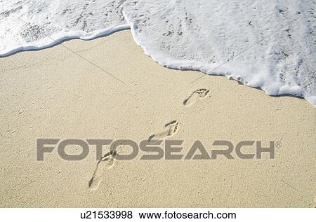Footprints on Sandy Beach leading into sea View Large Photo Image Stock Photo - Footprints on Sandy Beach leading into sea. Fotosearch