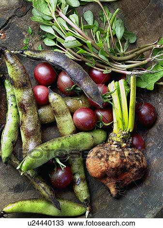 Stock Image - Fresh vegetables on table. Fotosearch