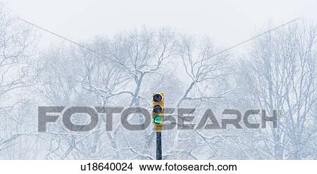 Picture - Green stoplight with winter trees in background. Fotosearch