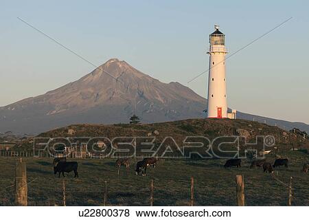 Stock Photo - Mount Taranaki and lighthouse at sunset. Fotosearch