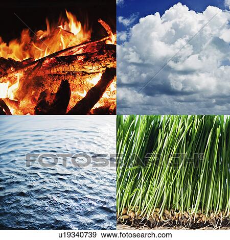 Nature elements composite View Large Photo Image Stock Photo - Nature elements composite. Fotosearch