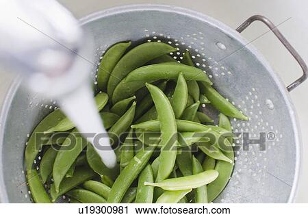 Stock Image - Preparing of green peas. Fotosearch