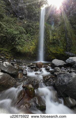 Stock Image - Scenic view of Dawson Falls. Fotosearch