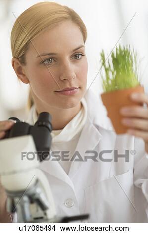 Scientist doing research on microscopes View Large Photo Image Picture - Scientist doing research on microscopes. Fotosearch