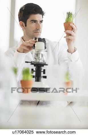 Stock Photography - Scientist doing research on microscopes. Fotosearch