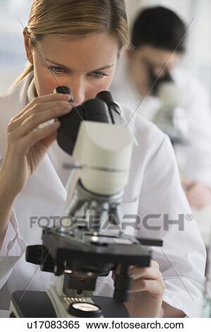 Scientist doing research on microscopes View Large Photo Image Stock Photography - Scientist doing research on microscopes. Fotosearch