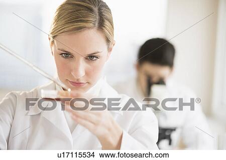 Scientist using pipette and petri dish View Large Photo Image Picture - Scientist using pipette and petri dish. Fotosearch