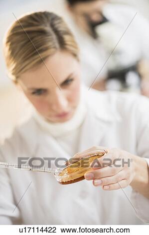 Scientist using pipette and petri dish View Large Photo Image Stock Image - Scientist using pipette and petri dish. Fotosearch