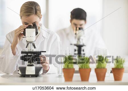 Picture - Scientists doing research on microscopes. Fotosearch