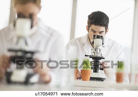 Scientists doing research on microscopes View Large Photo Image Stock Image - Scientists doing research on microscopes. Fotosearch