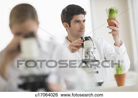 Scientists doing research on microscopes View Large Photo Image Stock Photograph - Scientists doing research on microscopes. Fotosearch