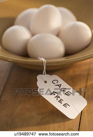 Stock Photo - Studio Shot of eggs in bowl. Fotosearch