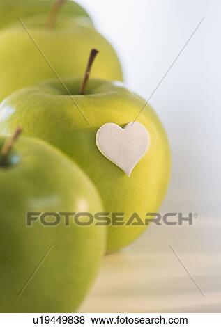 Studio Shot of green apples View Large Photo Image Stock Photo - Studio Shot of green apples. Fotosearch