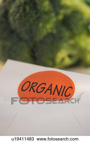 Stock Image - Studio Shot of organic broccoli. Fotosearch