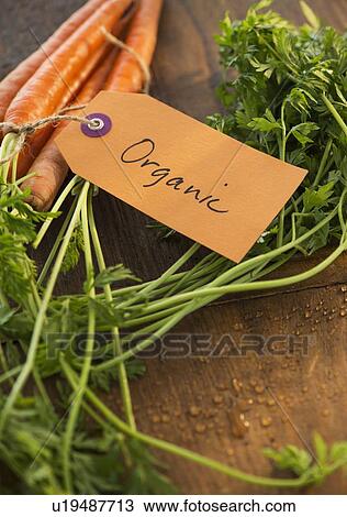 Stock Image - Studio Shot of organic carrots. Fotosearch