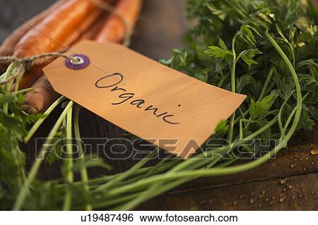 Studio Shot of organic carrots View Large Photo Image Stock Photograph - Studio Shot of organic carrots. Fotosearch