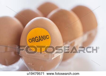 Stock Image - Studio Shot of organic eggs. Fotosearch