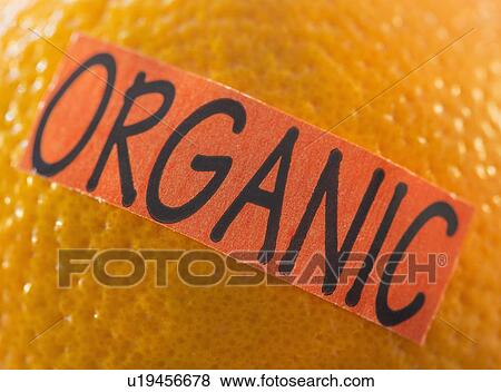 Stock Photo - Studio Shot of organic orange. Fotosearch
