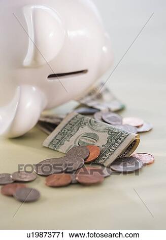 Stock Image - Studio Shot of piggy bank and money. Fotosearch
