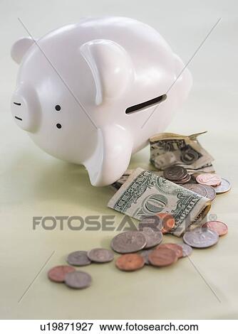 Stock Photo - Studio Shot of piggy bank and money. Fotosearch