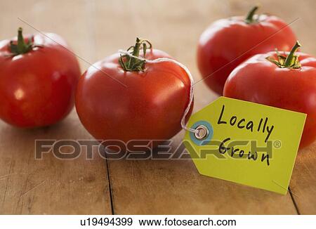 Stock Photo - Studio Shot of tomatoes. Fotosearch