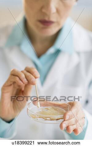 Woman working in laboratory View Large Photo Image Stock Image - Woman working in laboratory. Fotosearch