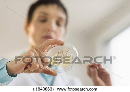 Woman working in laboratory View Large Photo Image Stock Photo - Woman working in laboratory. Fotosearch