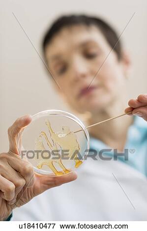 Woman working in laboratory View Large Photo Image Stock Photo - Woman working in laboratory. Fotosearch
