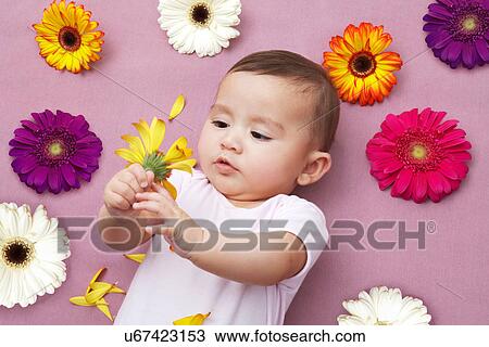 Baby girl holding flower View Large Photo Image Stock Image - Baby girl holding flower. Fotosearch