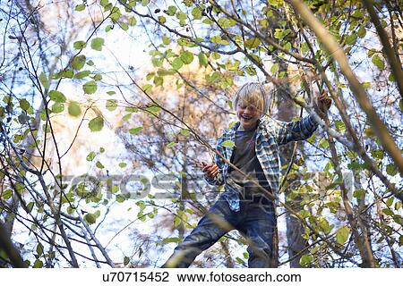 Boy up in tree View Large Photo Image Stock Image - Boy up in tree. Fotosearch