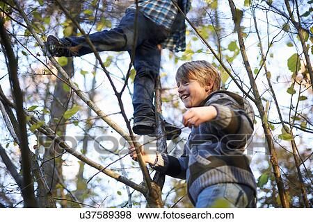 Boys up in tree View Large Photo Image Stock Photo - Boys up in tree. Fotosearch