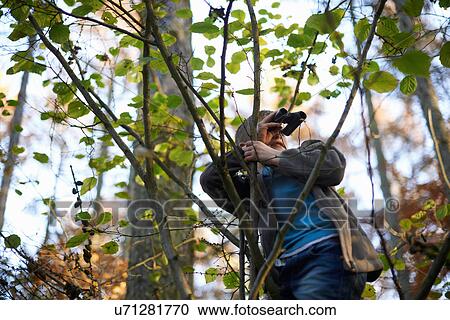Boys up tree looking through binoculars View Large Photo Image Stock Image - Boys up tree looking through binoculars. Fotosearch