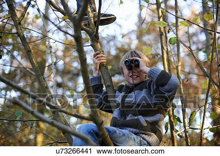 Boys up tree looking through binoculars View Large Photo Image Stock Image - Boys up tree looking through binoculars. Fotosearch