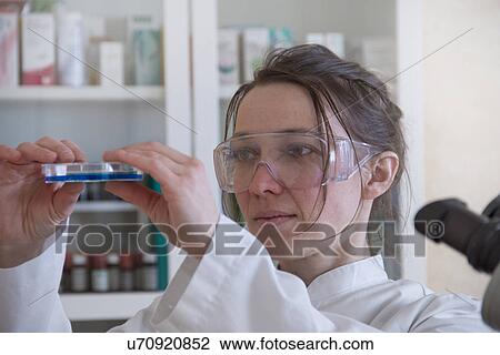 Female scientist holding petri dish View Large Photo Image Stock Image - Female scientist holding petri dish. Fotosearch