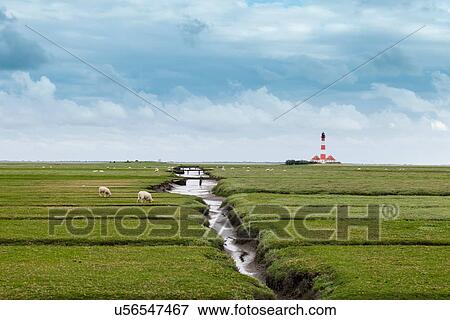 Field with distant lighthouse, Schleswig Holstein, Germany View Large Photo Image Stock Photo - Field with distant lighthouse, Schleswig Holstein, Germany. Fotosearch