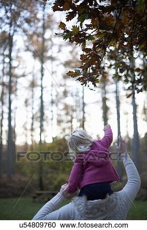 Girl sitting on mother's shoulders reaching for leaf View Large Photo Image Stock Image - Girl sitting on mother's shoulders reaching for leaf. Fotosearch
