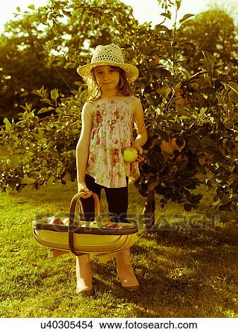 Girl with basket of apples View Large Photo Image Picture - Girl with basket of apples. Fotosearch