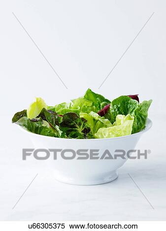 Mixed salad leaves in white bowl View Large Photo Image Stock Photography - Mixed salad leaves in white bowl. Fotosearch