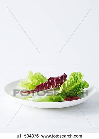 Stock Photograph - Mixed salad leaves on white plate. Fotosearch