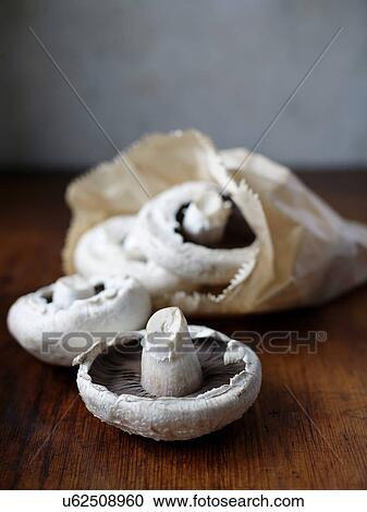 Mushrooms View Large Photo Image Stock Image - Mushrooms. Fotosearch