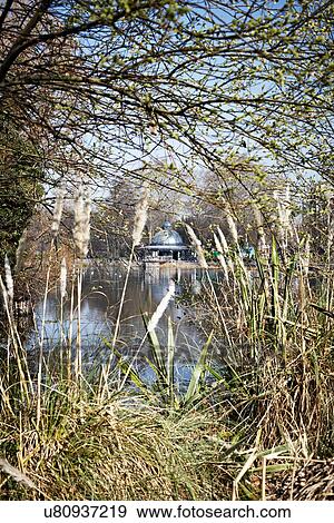 Stock Photo - Pond and grasses, London, England, UK. Fotosearch