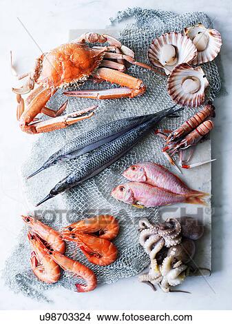 Picture - Selection of fresh seafood. Fotosearch