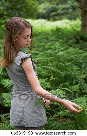 Stock Image - Teenage girl touching bracken in forest. Fotosearch