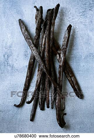 Vanilla pods View Large Photo Image Stock Image - Vanilla pods. Fotosearch