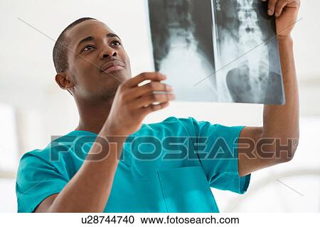 Young man examining xray View Large Photo Image Stock Image - Young man examining xray. Fotosearch