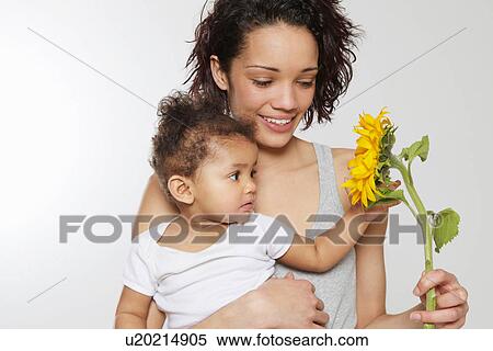 Baby girl touching sunflower held by mother in studio View Large Photo Image Stock Photography - Baby girl touching sunflower held by mother in studio. Fotosearch